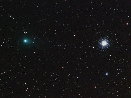 Cometa C 2009P1/Garradd